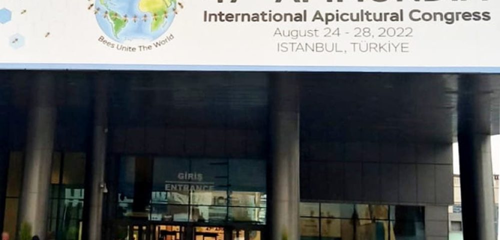 Apicultura-DNDEL copy