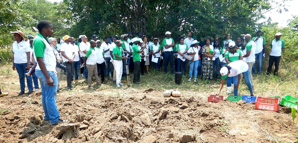 Jornada de campo – demonstração de técnicas de combate á Mosca da Fruta
