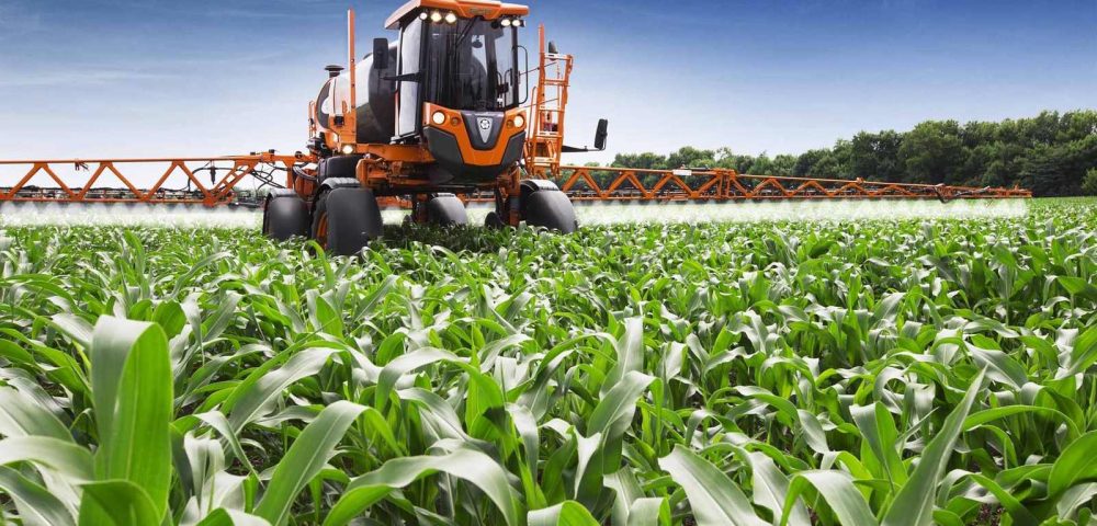 agricultura-moz-lamb_Easy-Resize.com_